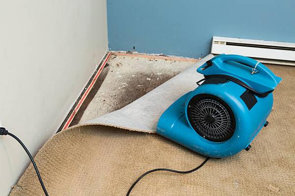 How Water Damage Restoration Services Can Save You Money